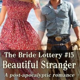 Bride Lottery 15 Beautiful Stranger by Caty Callahan | Sweet romances for young adults