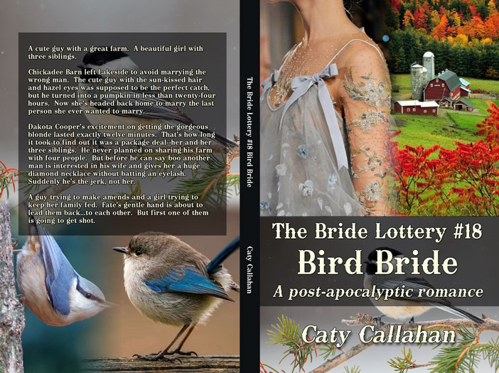 Bride Lottery 18 Bird Bride by Caty Callahan | Sweet romances for young adults