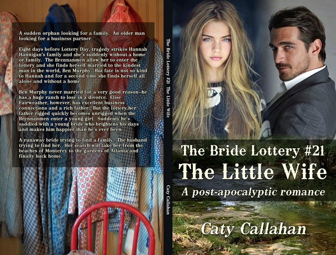 Bride Lottery 21 The Little Wife by Caty Callahan | Sweet romances for young adults