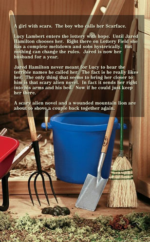 Bride Lottery 24 Scarface by Caty Callahan | Bride Lottery - Clean wholesome romances for everyone