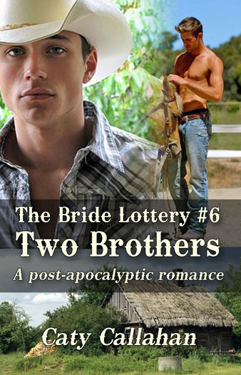 Bride Lottery 6 Two Brothers by Caty Callahan | Sweet romances for young adults
