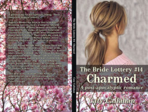 Bride Lottery 14 Charmed by Caty Callahan | Sweet romances for young adults