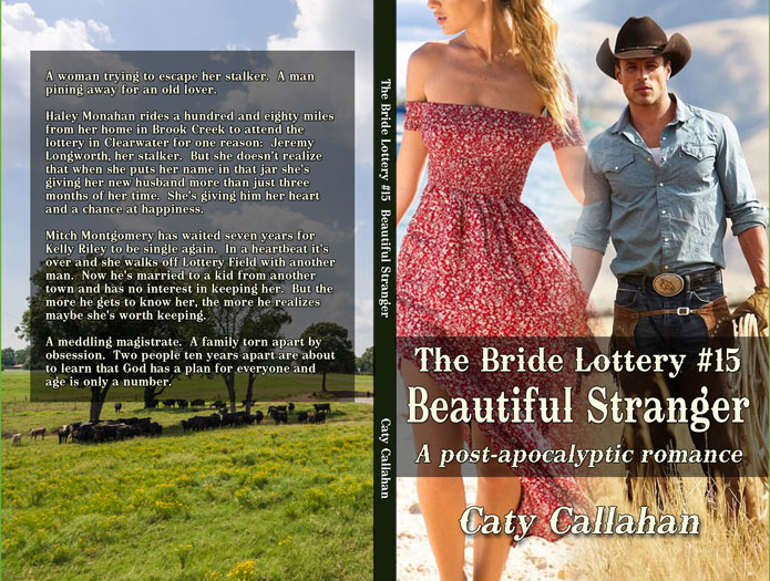 Bride Lottery 15 Beautiful Stranger by Caty Callahan | Sweet romances for young adults