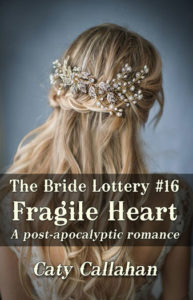 Bride Lottery 16 Fragile Heart by Caty Callahan | Sweet romances for young adults