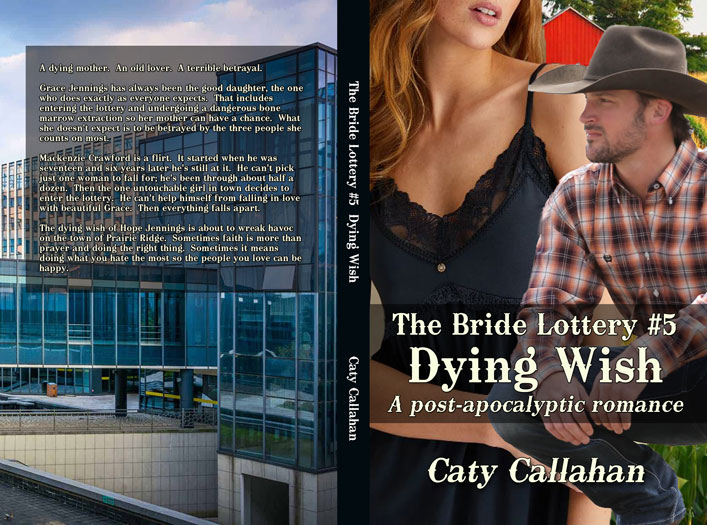 Bride Lottery 5 Dying Wish | Sweet romance for young adults