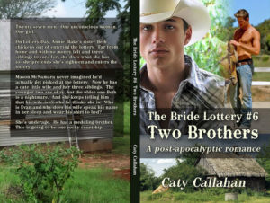 Bride Lottery 6 Two Brothers by Caty Callahan | Sweet romances for young adults