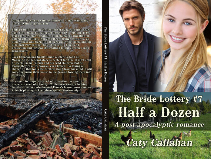 Bride Lottery 8 Half a Dozen by Caty Callahan | Sweet romance for young adults